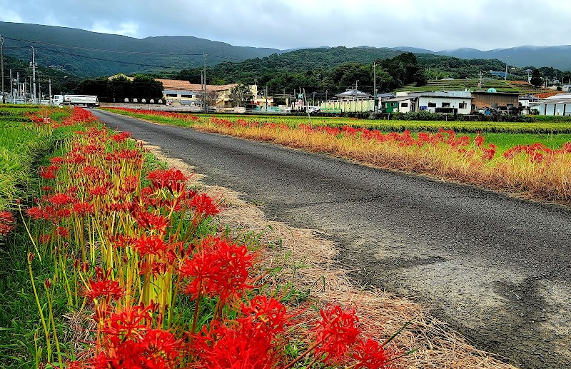 社が丘花園