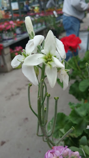 Home Improvement Store «The Home Depot», reviews and photos, 1255 Ten Rod Rd, North Kingstown, RI 02852, USA