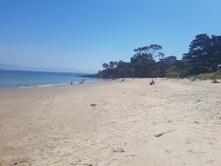 Photo de Blue Lagoon Beach zone sauvage