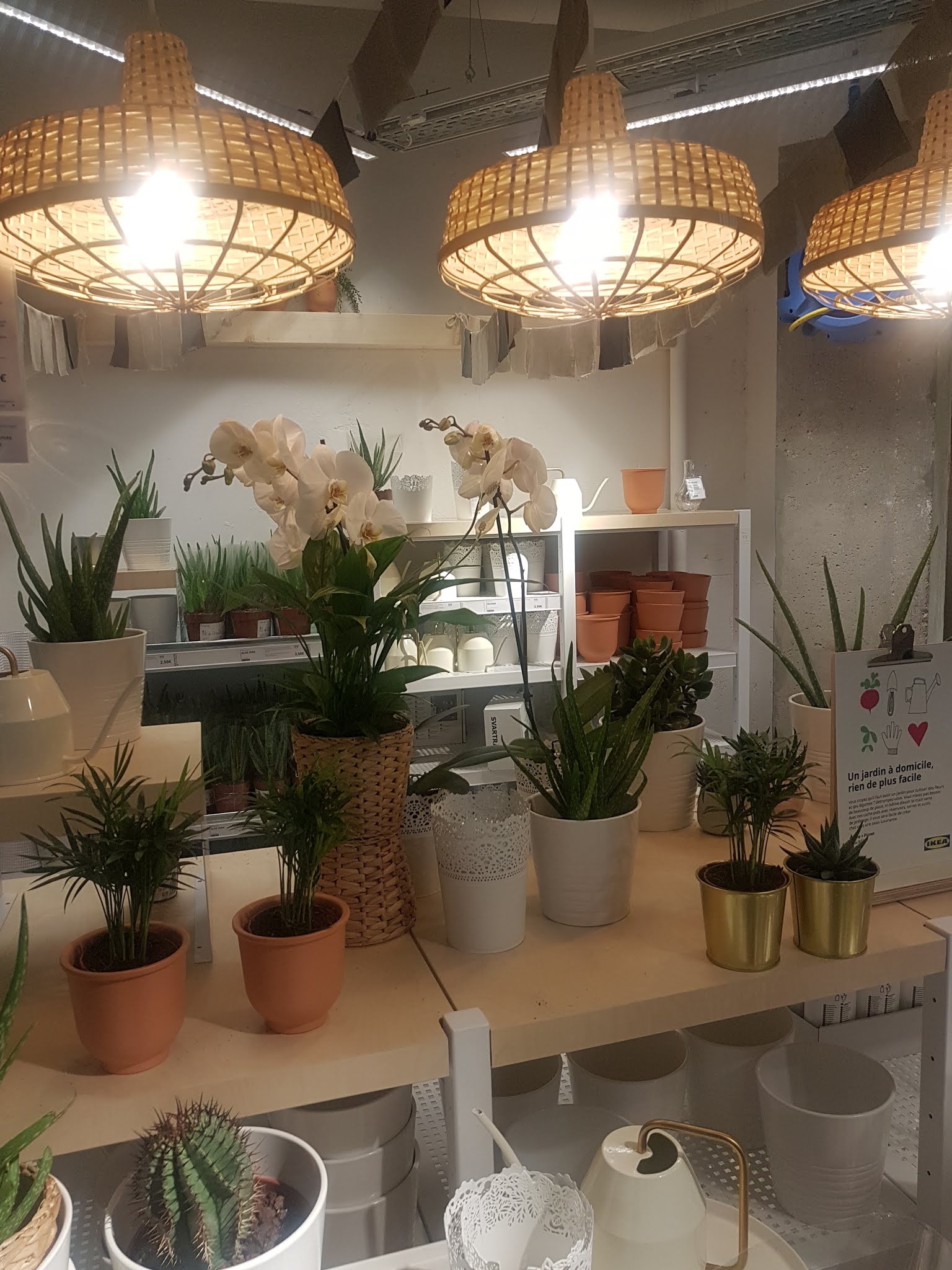 Photo n° 6 de l'avis de Cecile. fait le 17/06/2019 à 09:47
