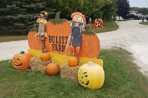 Bulitz Pumpkin Farm image