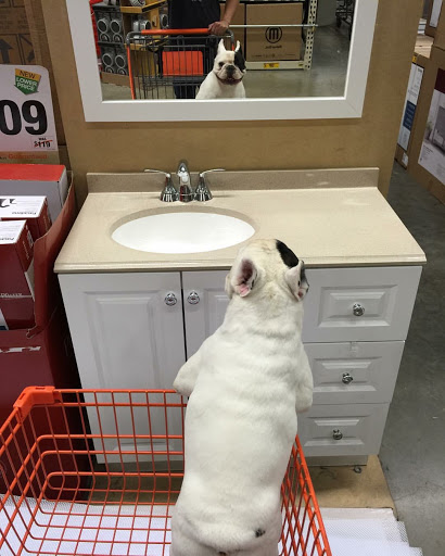 Home Improvement Store «The Home Depot», reviews and photos, 1149 Hingham St, Rockland, MA 02370, USA