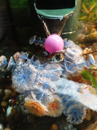 Pet Supply Store «PetSmart», reviews and photos, 8014 Old Carriage Ct, Shakopee, MN 55379, USA