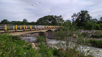 Puente sobre el Rio Castellanos/termopilas salteña
