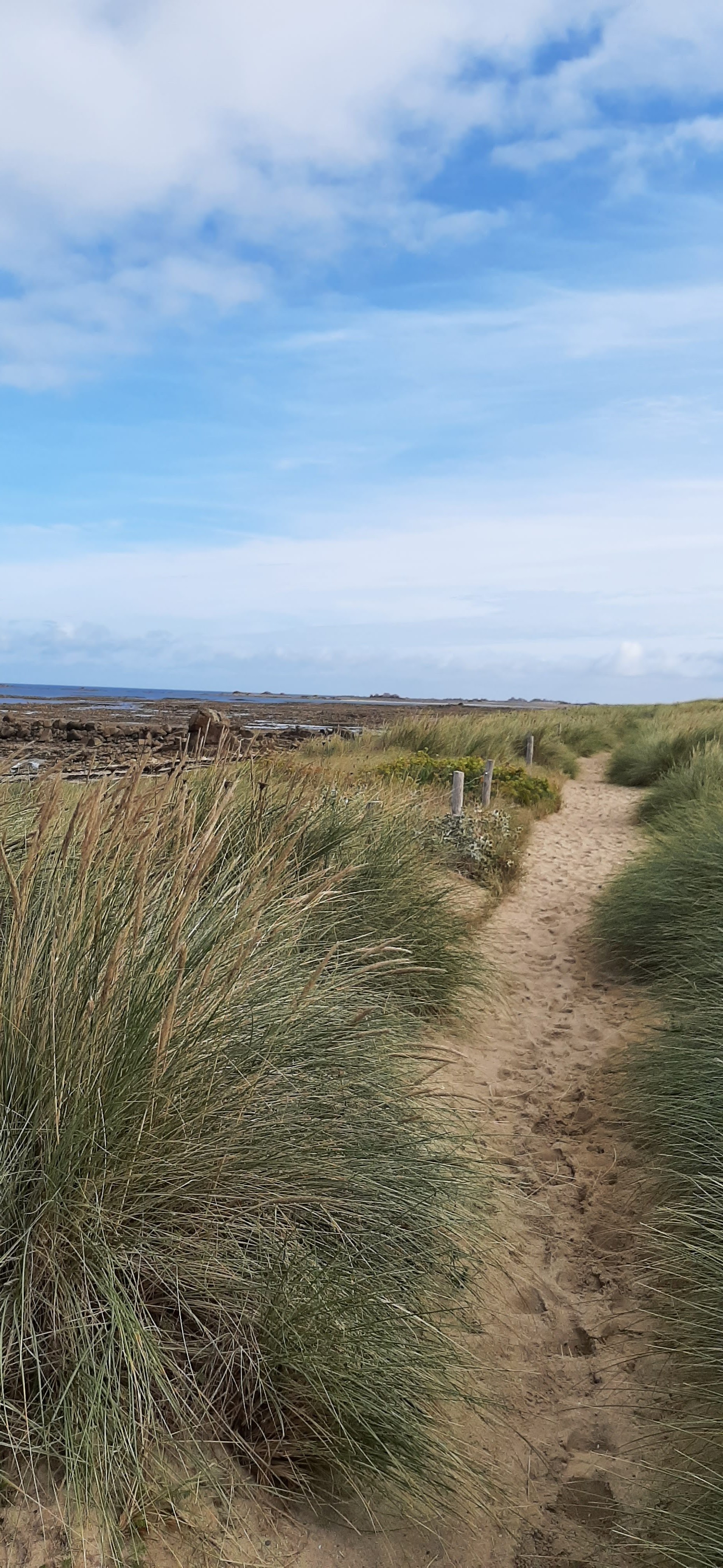 Photo n° 3 de l'avis de NAN.I fait le 30/09/2021 à 07:54