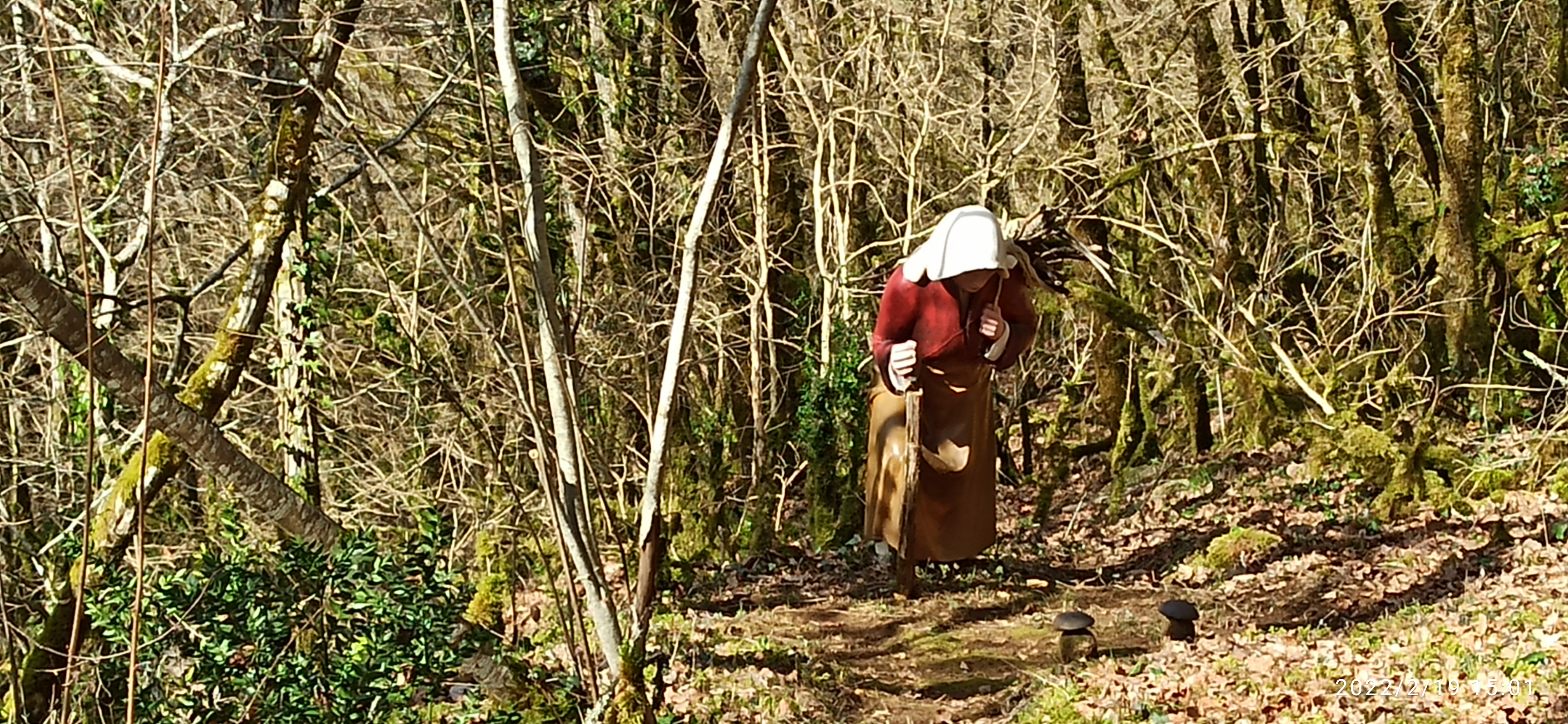 Photo n° 1 de l'avis de A. fait le 22/02/2022 à 15:01