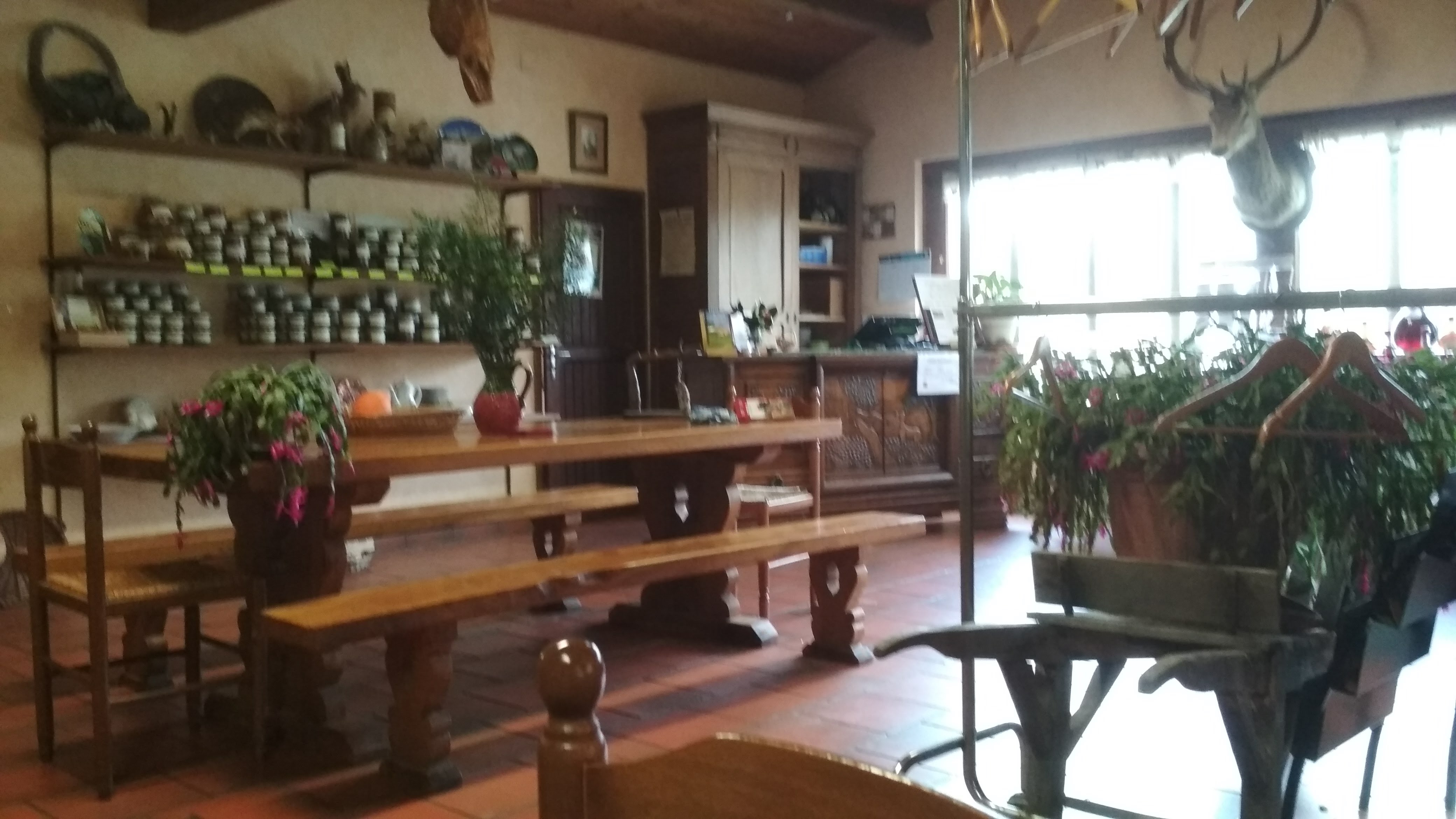 Photo n° 3 de l'avis de Gilles.a fait le 17/02/2018 à 18:09