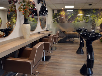 Salon Magnifique