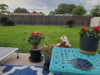 Mosquito Joe of West Houston- Galveston - Photo 5 - Car repair in Houston, TX, Pearland