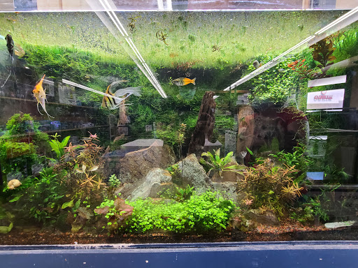 Pet Supply Store «Coastline Pet Supply», reviews and photos, 3530 Northgate Dr, Myrtle Beach, SC 29588, USA