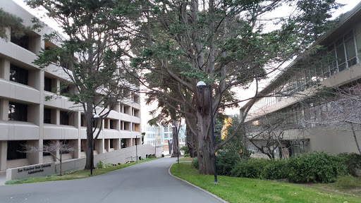 Faculty of psychology Daly City
