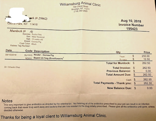 Pet Supply Store «Petland Discounts - City Line», reviews and photos, 1127 Liberty Ave, Brooklyn, NY 11208, USA