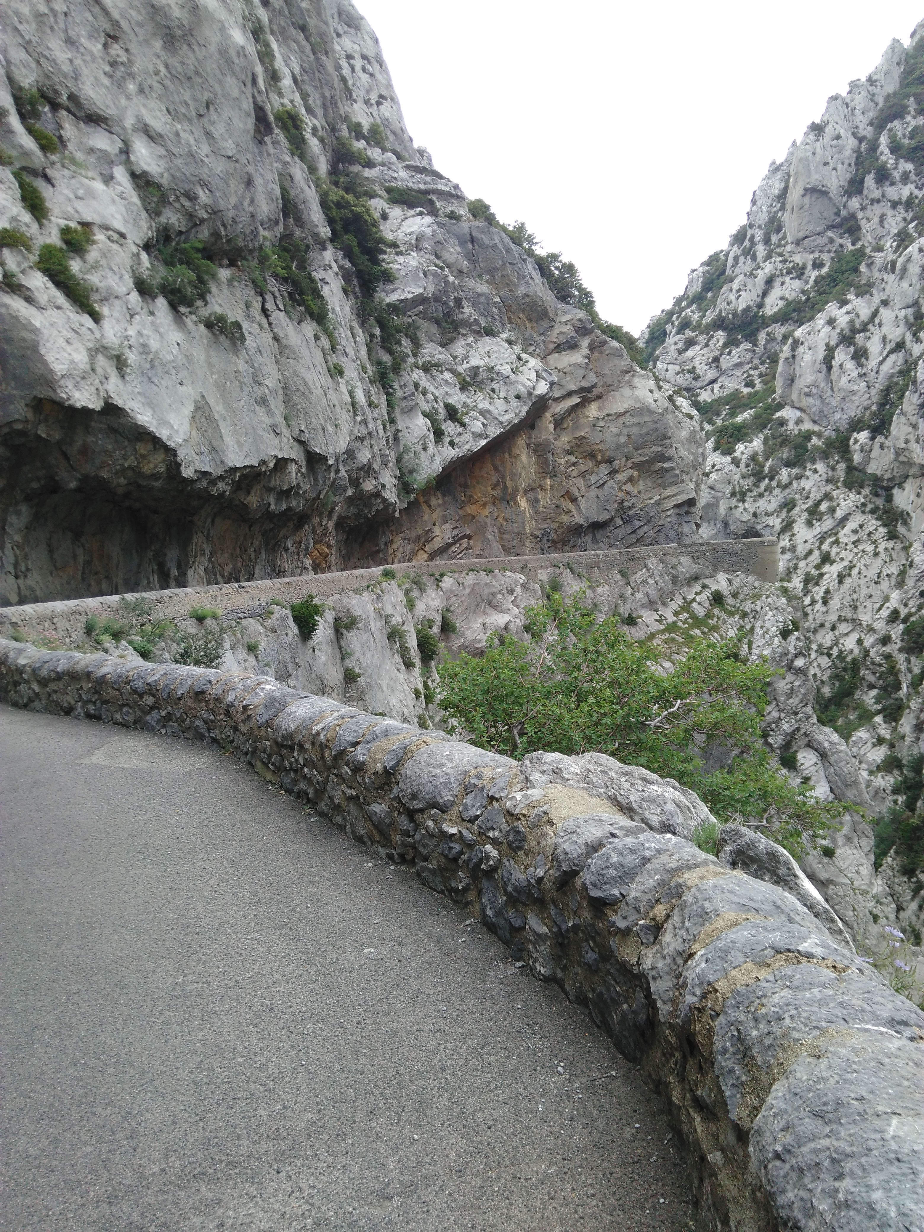 Photo n° 1 de l'avis de Didier.g fait le 31/01/2021 à 20:24