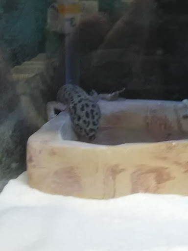 Pet Supply Store «Petco Animal Supplies», reviews and photos, 377 W Jackson St #11, Cookeville, TN 38501, USA