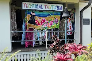 Tropical Tantrum image
