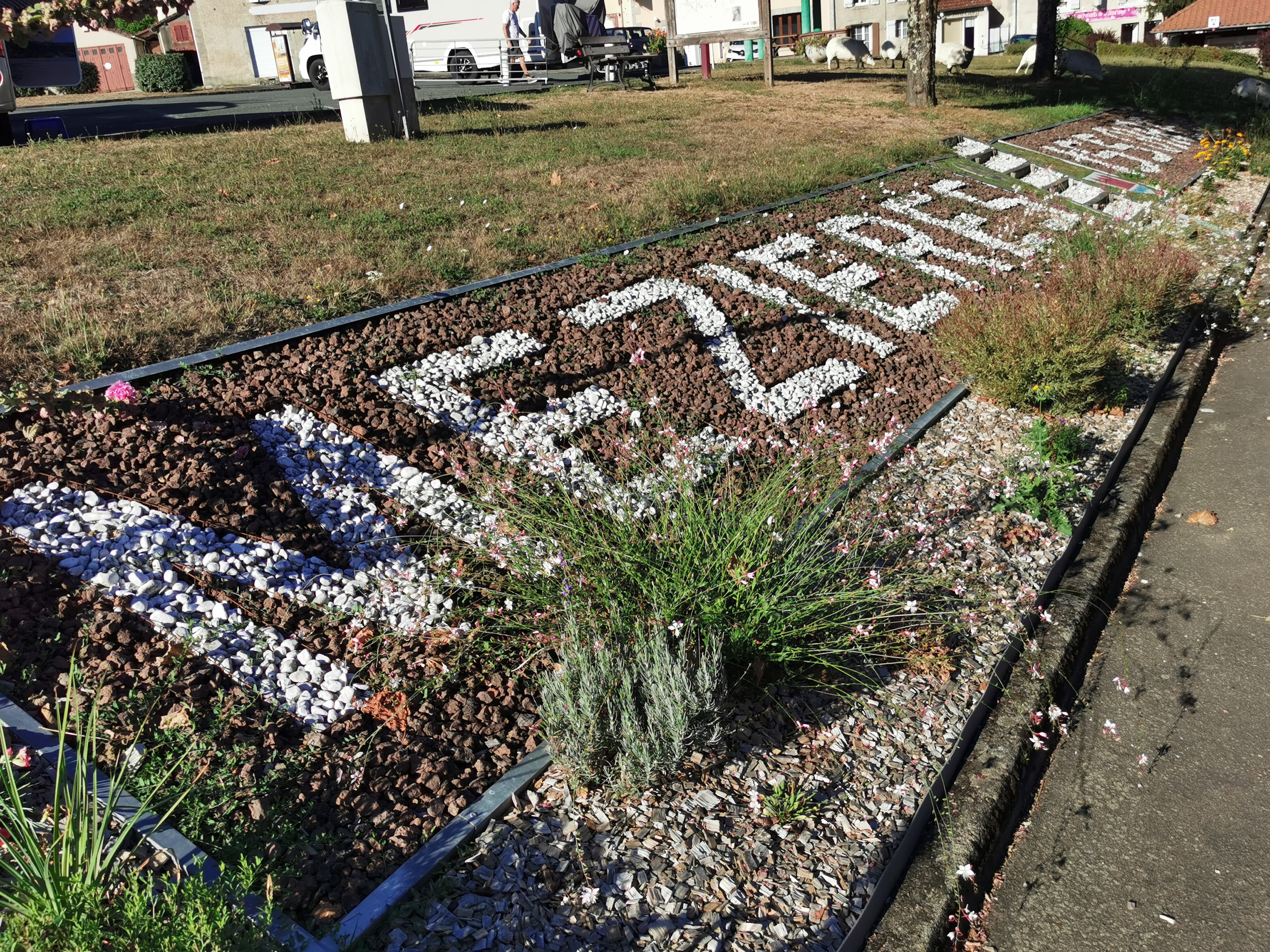 Photo n° 3 de l'avis de Thoras.a fait le 24/09/2022 à 20:43