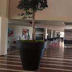 Photo n°4 de l'avis de Sebastian.e fait le 24/08/2019 à 22:09 sur le  Hotel Corte Valier con Spa e Centro Benessere à Lazise