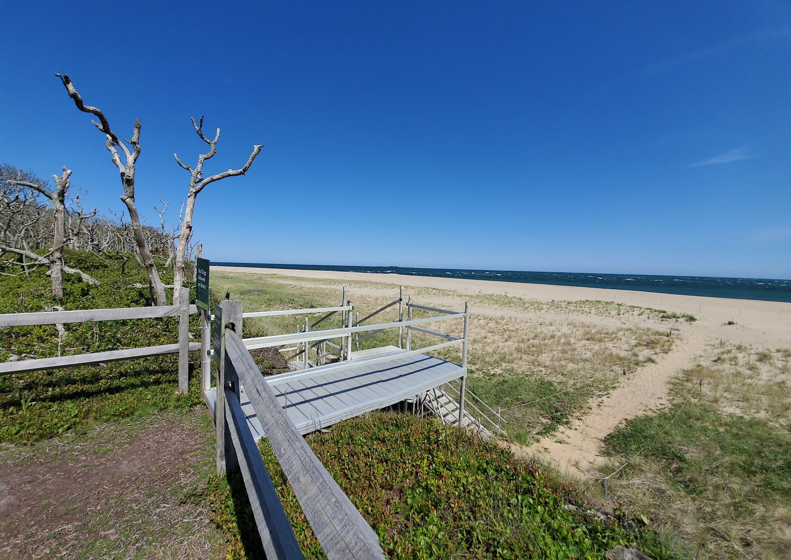 Foto von Katama Beach befindet sich in natürlicher umgebung