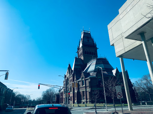 Performing Arts Theater «Sanders Theatre», reviews and photos, 45 Quincy St, Cambridge, MA 02138, USA