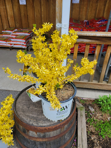 Pet Supply Store «CountryMax - Spencerport», reviews and photos, 4658 W Ridge Rd, Spencerport, NY 14559, USA