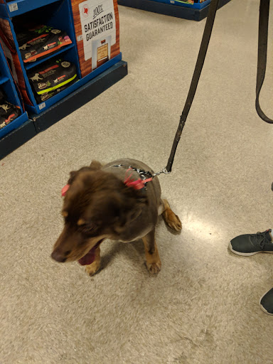 PetSmart image