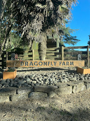 Dragonfly Farm