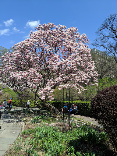 Museum «Museum of the City of New York», reviews and photos, 1220 5th Ave & 103rd St, New York, NY 10029, USA