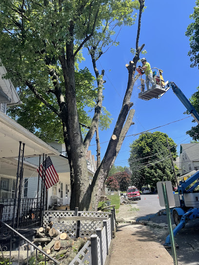 To The Max Tree Service