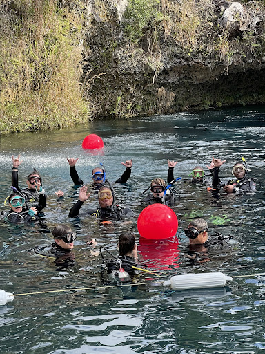 Dive Shop «The Dive Shop On McEver», reviews and photos, 3560 McEver Rd, Gainesville, GA 30504, USA