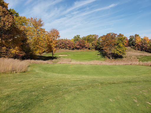 Golf Course «Mines Golf Course», reviews and photos, 330 Covell Ave SW, Walker, MI 49534, USA