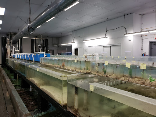 Pet Supply Store «Global Aquatics & Pet Supplies», reviews and photos, 1420 S Carlos Ave, Ontario, CA 91761, USA