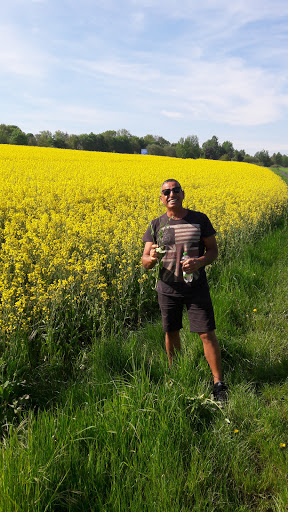 Artgerechte chemiefreie Tiernahrung unter Rosengarten, 