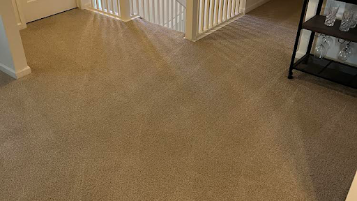 Ann Arbor Kwik Dry Carpet & Air Duct Cleaning