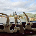 Photo n°8 de l'avis de Tina.a fait le 15/11/2023 à 13:59 sur le  Hyatt Regency Cologne à Cologne