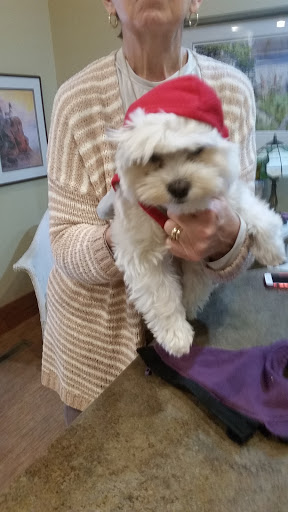 Pet Supply Store «PetSmart», reviews and photos, 2818 S Louise Ave, Sioux Falls, SD 57106, USA