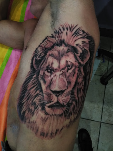 Explore dragon tattoo ideas forearm, creative tattoo ideas in Palm Harbor, available at High Quality Tattoo Studios
