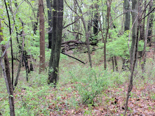 Golf Course «Tournament Club of Iowa», reviews and photos, 1000 Tradition Dr, Polk City, IA 50226, USA