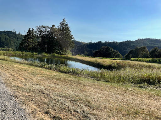 Vineyard «Coeur De Terre», reviews and photos, 21000 SW Eagle Point Rd, McMinnville, OR 97128, USA