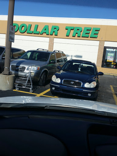 Dollar Store «Dollar Tree», reviews and photos, 21700 W Eleven Mile Rd, Southfield, MI 48076, USA