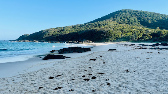 McBrides Beach