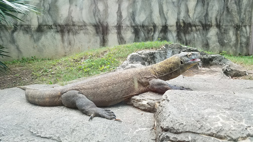 Museum «Graceland», reviews and photos, Elvis Presley Blvd, Memphis, TN 38116, USA