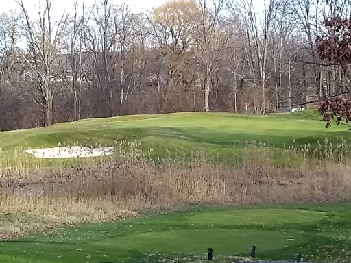 Golf Course «Fieldstone Golf Club», reviews and photos, 1984 Taylor Rd, Auburn Hills, MI 48326, USA