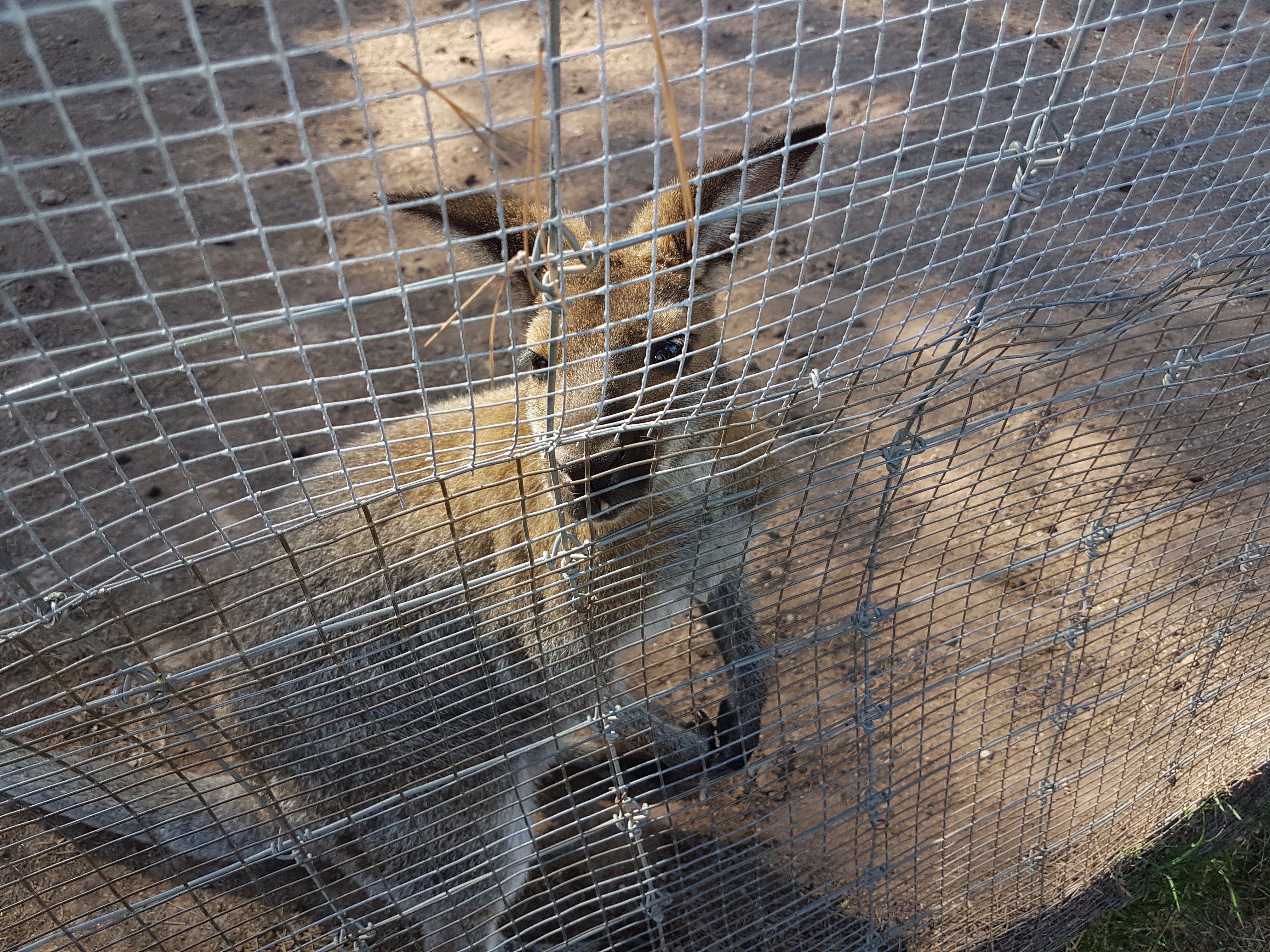Photo n° 25 de l'avis de Armand.A fait le 09/09/2018 à 19:52