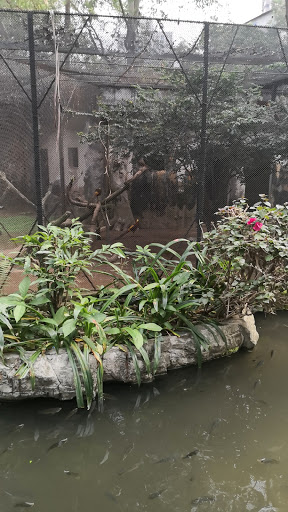 Guangzhou Zoo Happy World