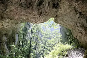 Peștera Colțul Surpat image