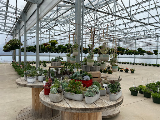 Grocery Store «Red Berry Barn», reviews and photos, 19200 SW Chapman Rd, Sherwood, OR 97140, USA