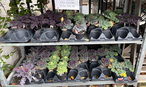 Hardware Store «Ace Hardware», reviews and photos, 119 Beck Ln, Lafayette, IN 47909, USA