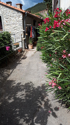 Reco Del Tech à Amélie-les-Bains-Palalda