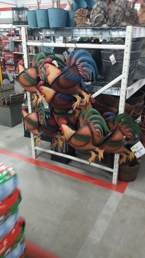 Home Improvement Store «Tractor Supply Co.», reviews and photos, 2300 N Woodland Blvd, DeLand, FL 32720, USA