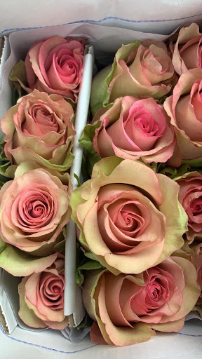 Florist «Flowers and Services», reviews and photos, 13750 Biscayne Blvd, North Miami Beach, FL 33181, USA